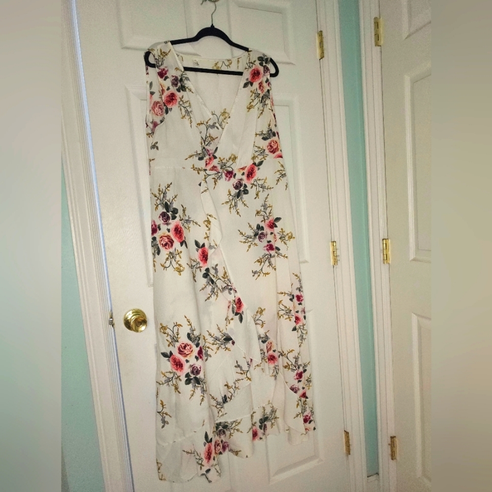 3xl Floral Sleeveless Dress Sheer